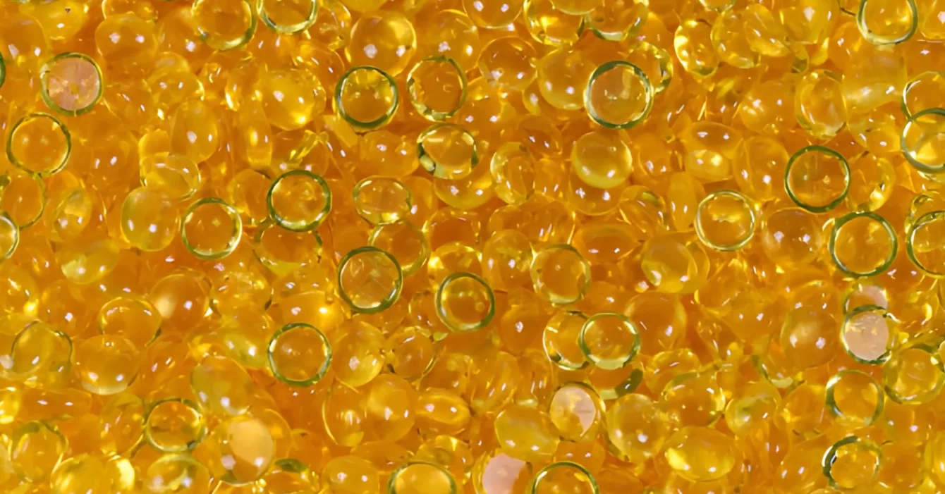 Des solutions adhésives et chimiques au service de votre performance industrielle Fendri Chemical Company : spécialiste des colles hotmelt en Tunisie